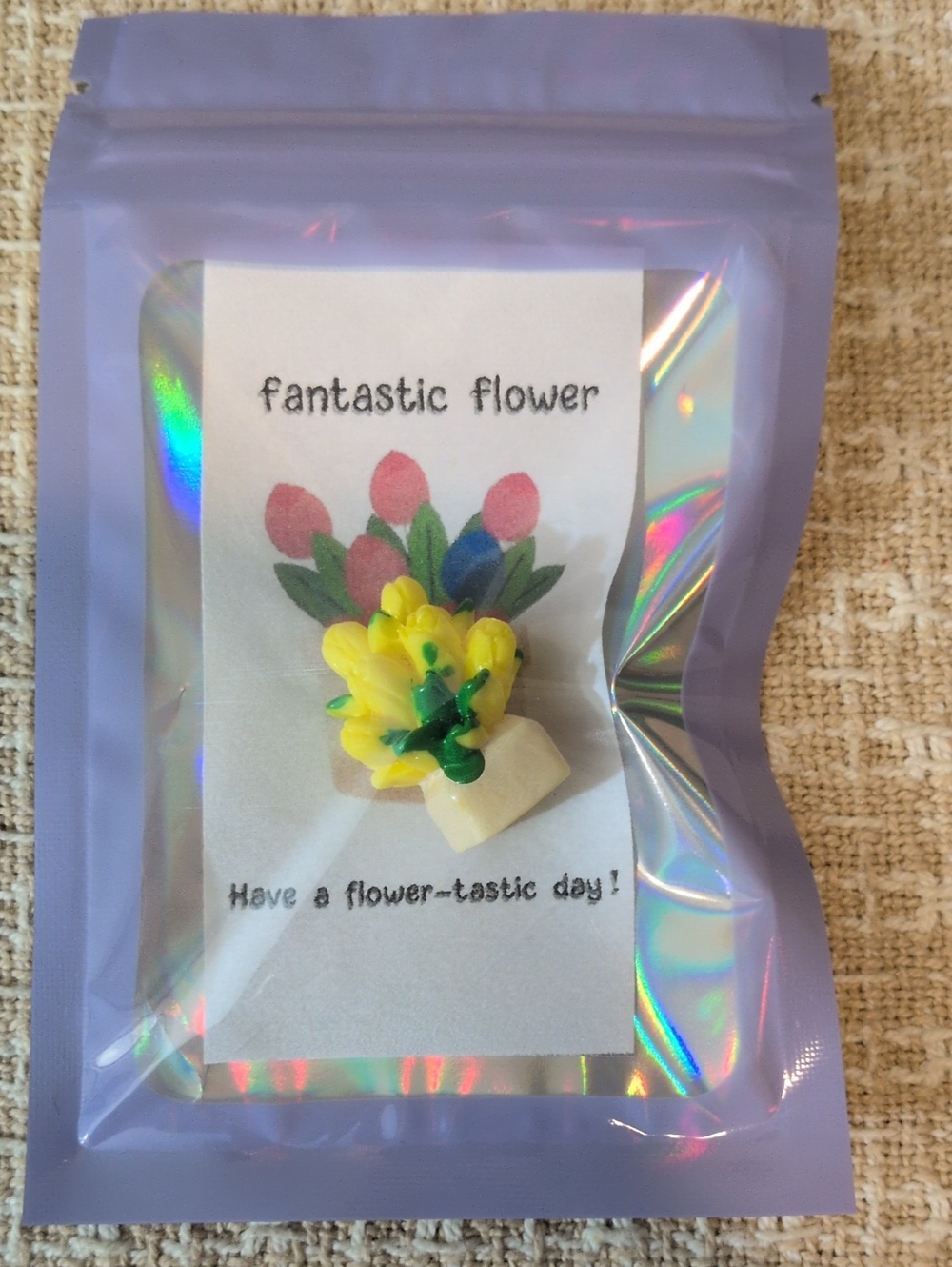 Fantastic Flower Yellow Tulip Miniature